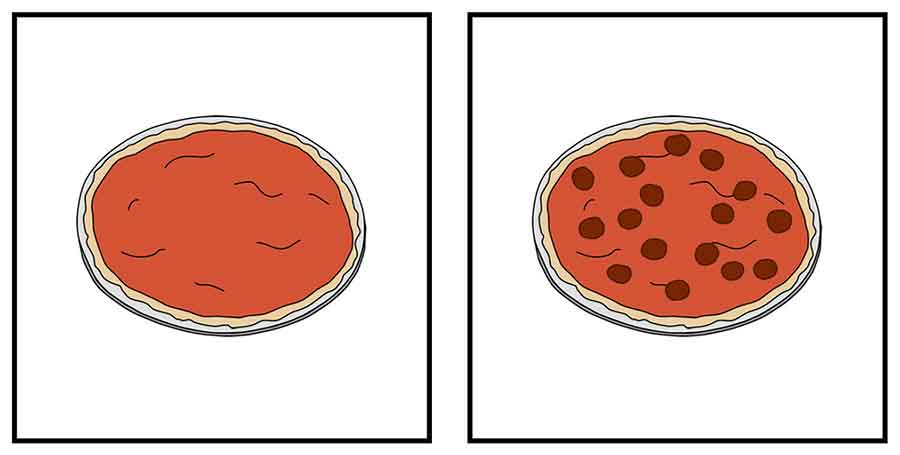 pizza